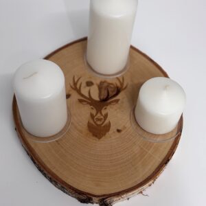 Highland Stag Tree Slice Set