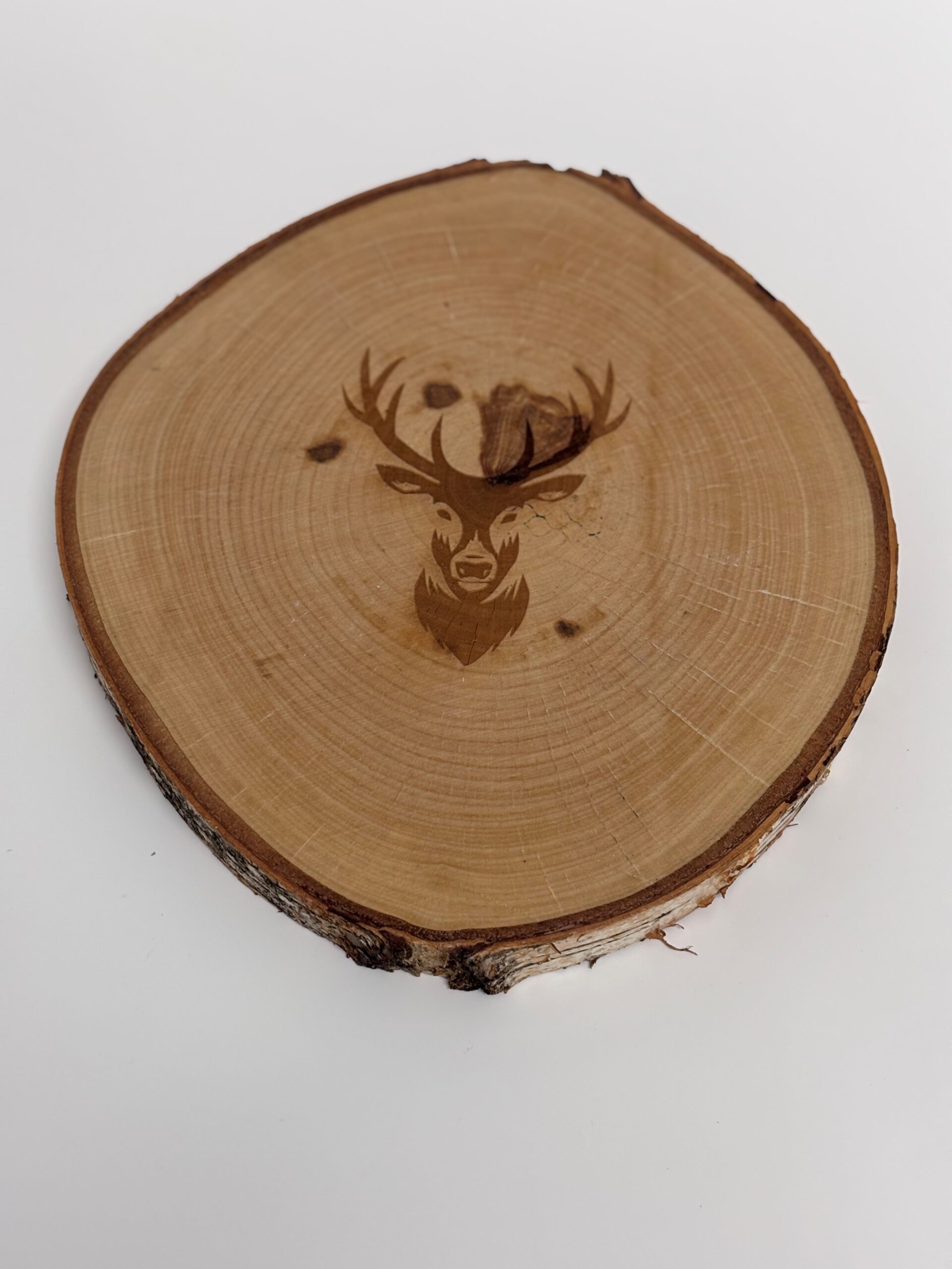 Highland Stag Tree Slice Set - Image 6